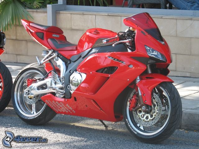 [obrazky.4ever.sk] suzuki cbr 1939614.jpg